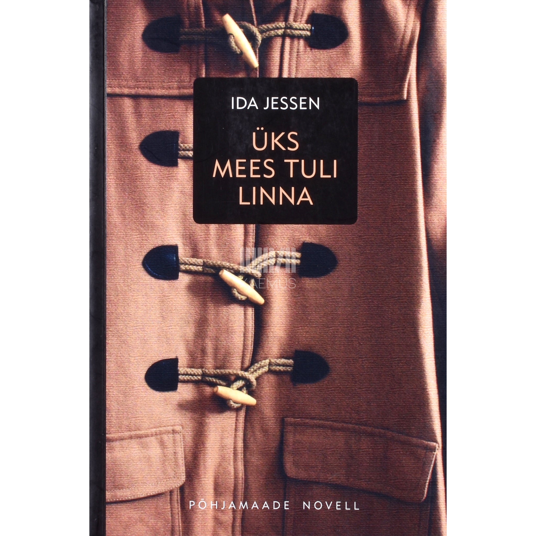 Ida Jessen Üks mees tuli linna