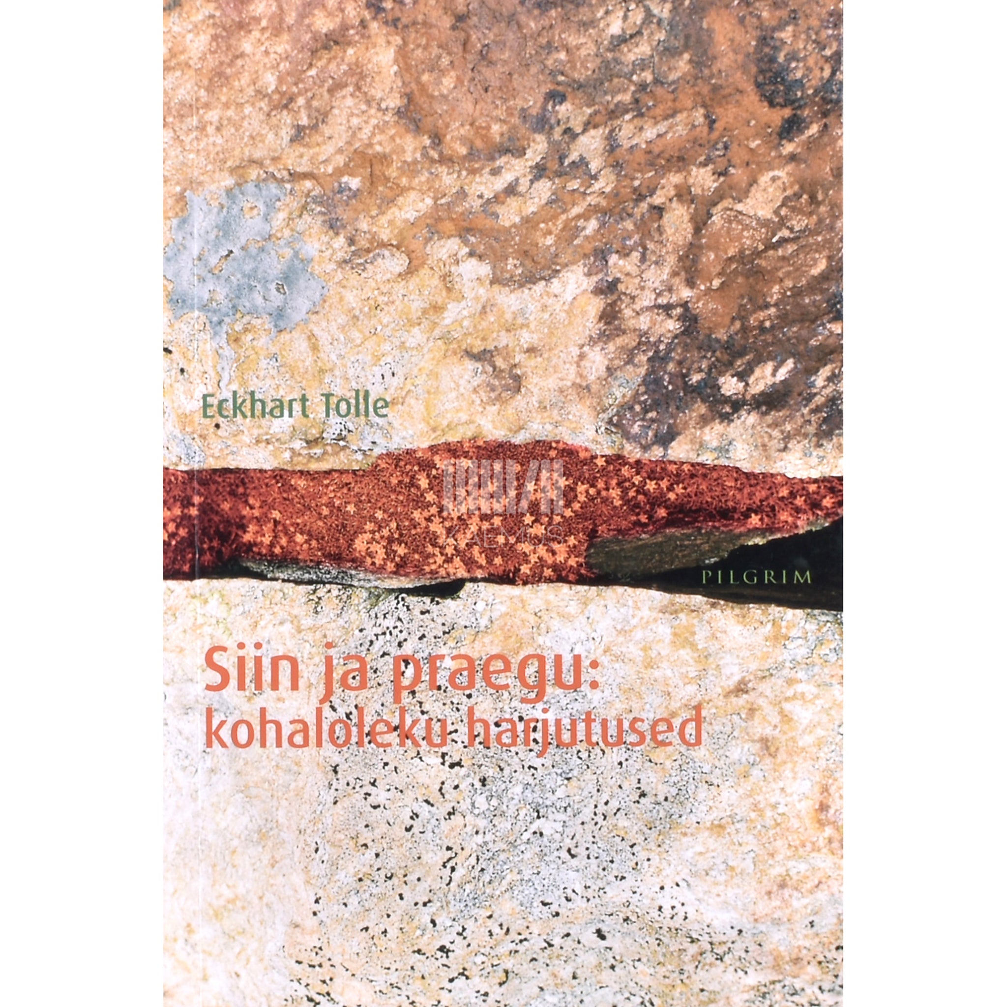 Eckhart Tolle Siin ja praegu. Kohaloleku harjutused