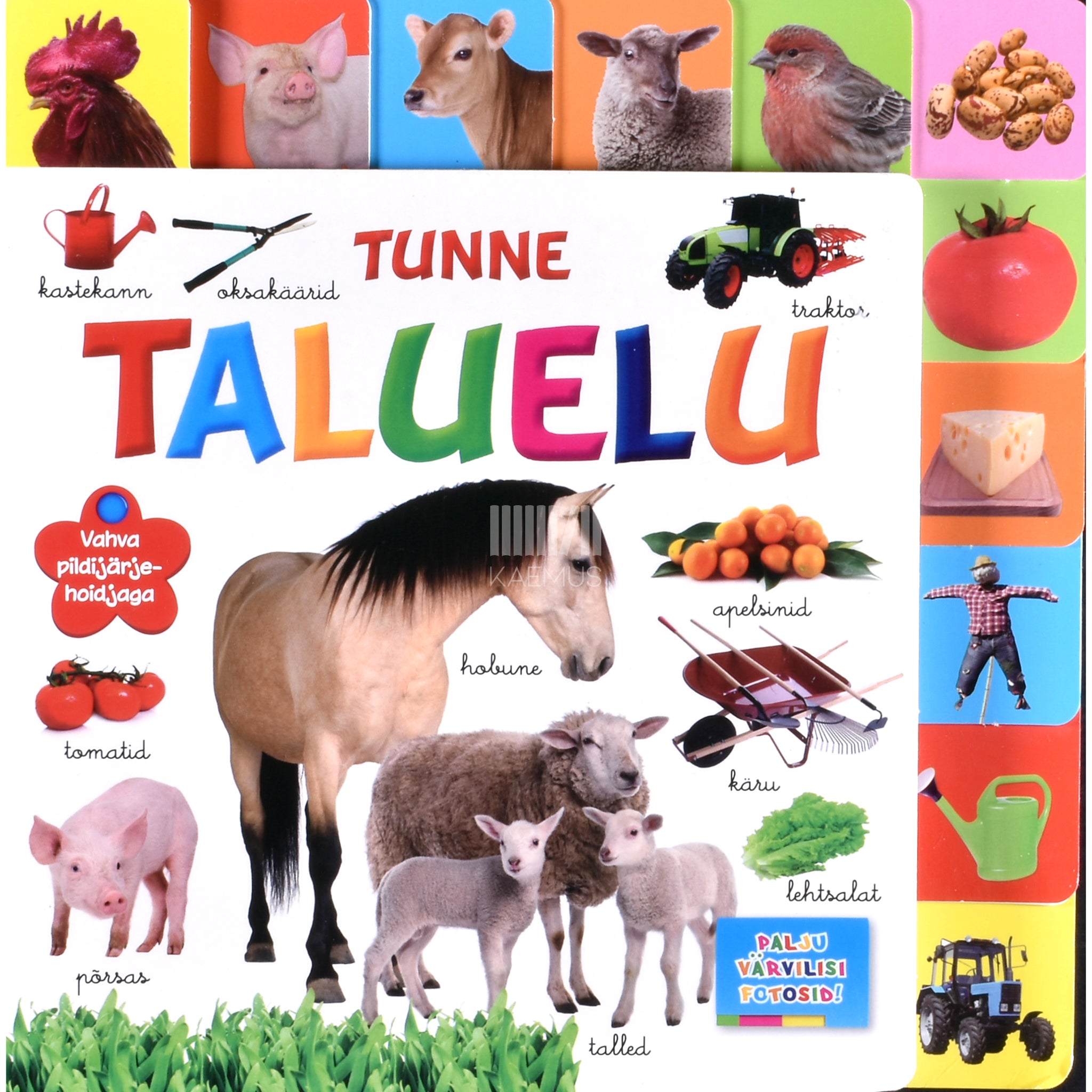 Kaemus Tunne taluelu