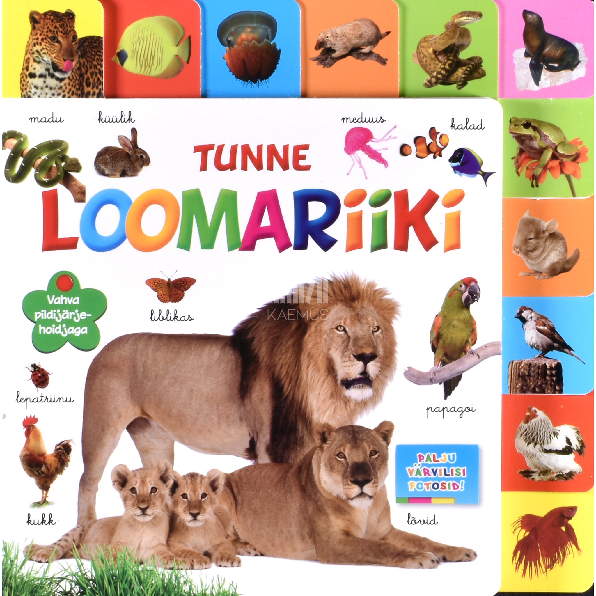 Kaemus Tunne loomariiki