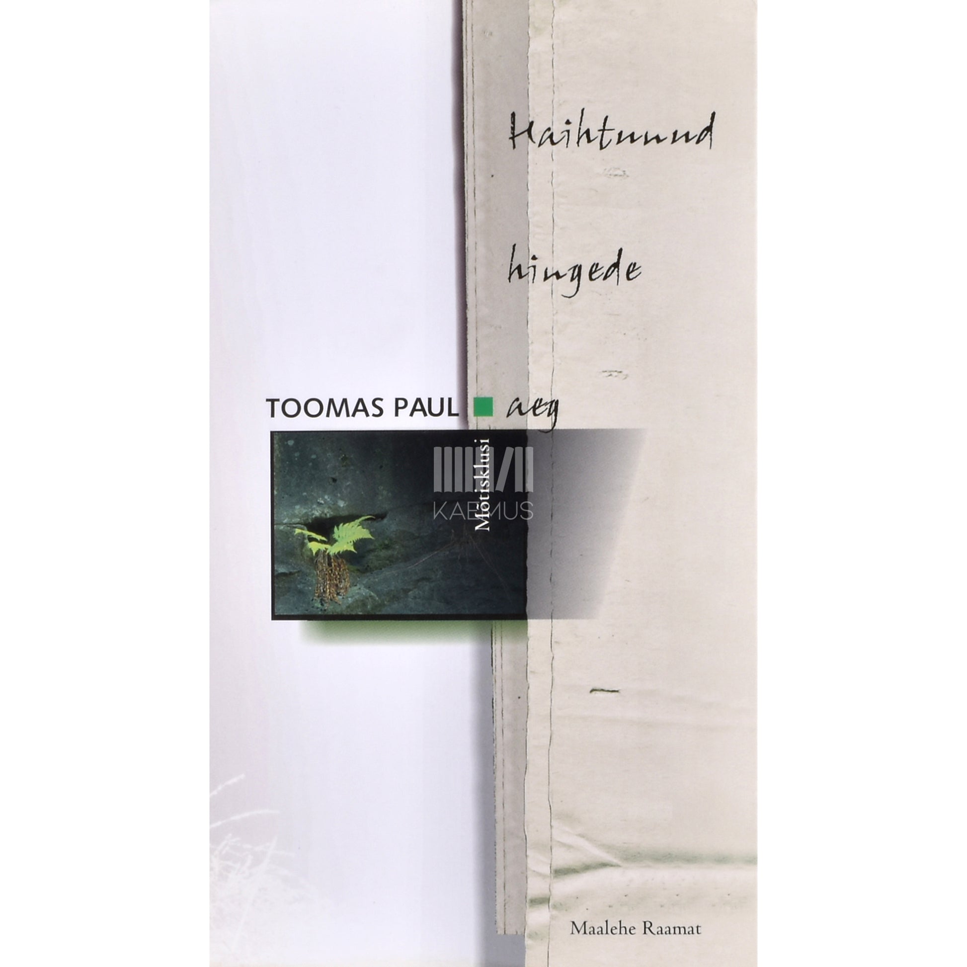 Toomas Paul. Haihtunud hingede aeg