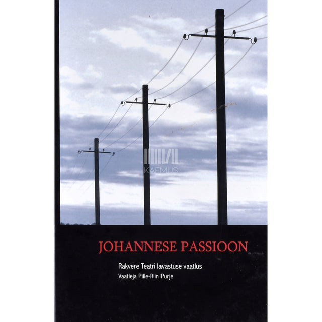 Pille-Riin Purje. Johannese passioon