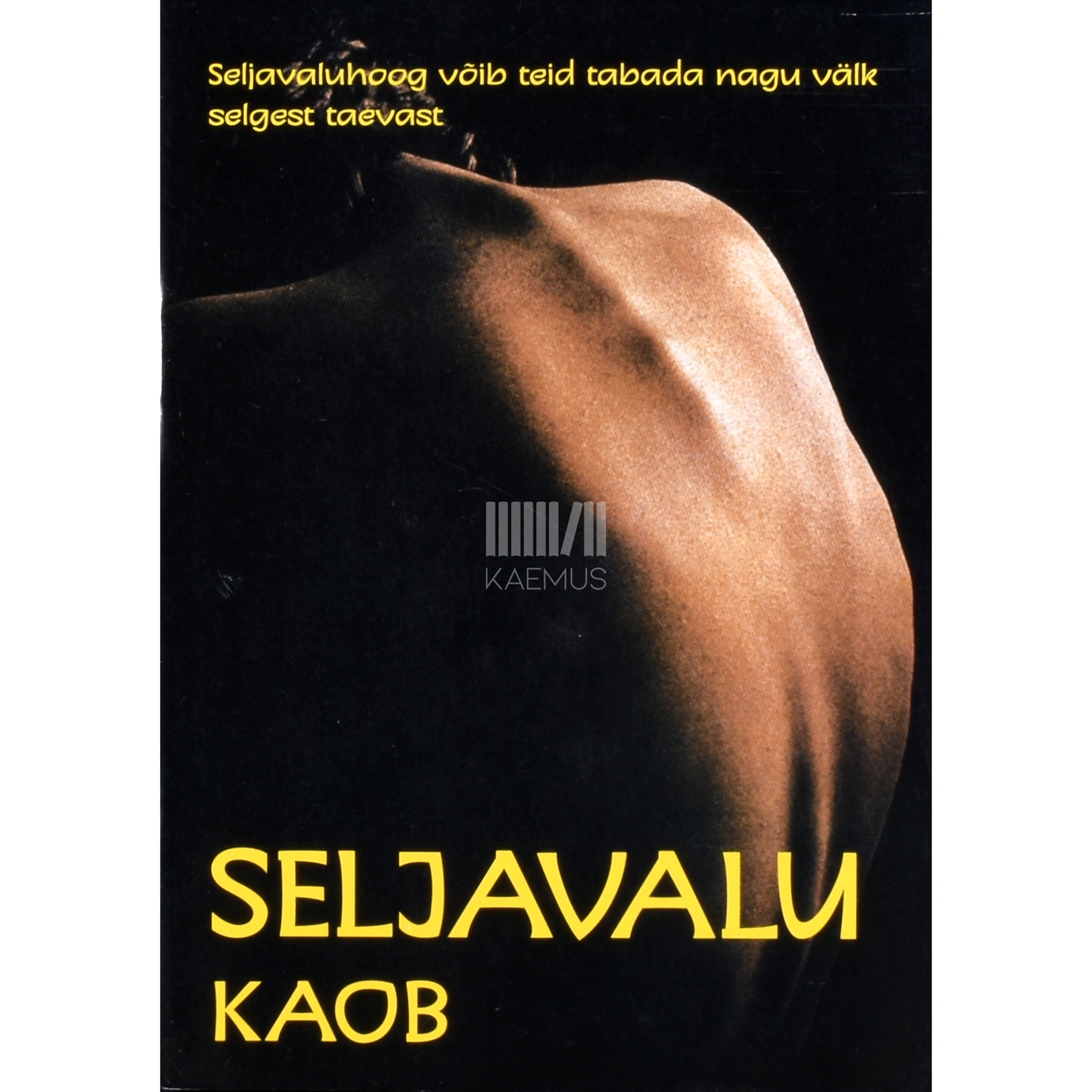 Kaemus Seljavalu kaob