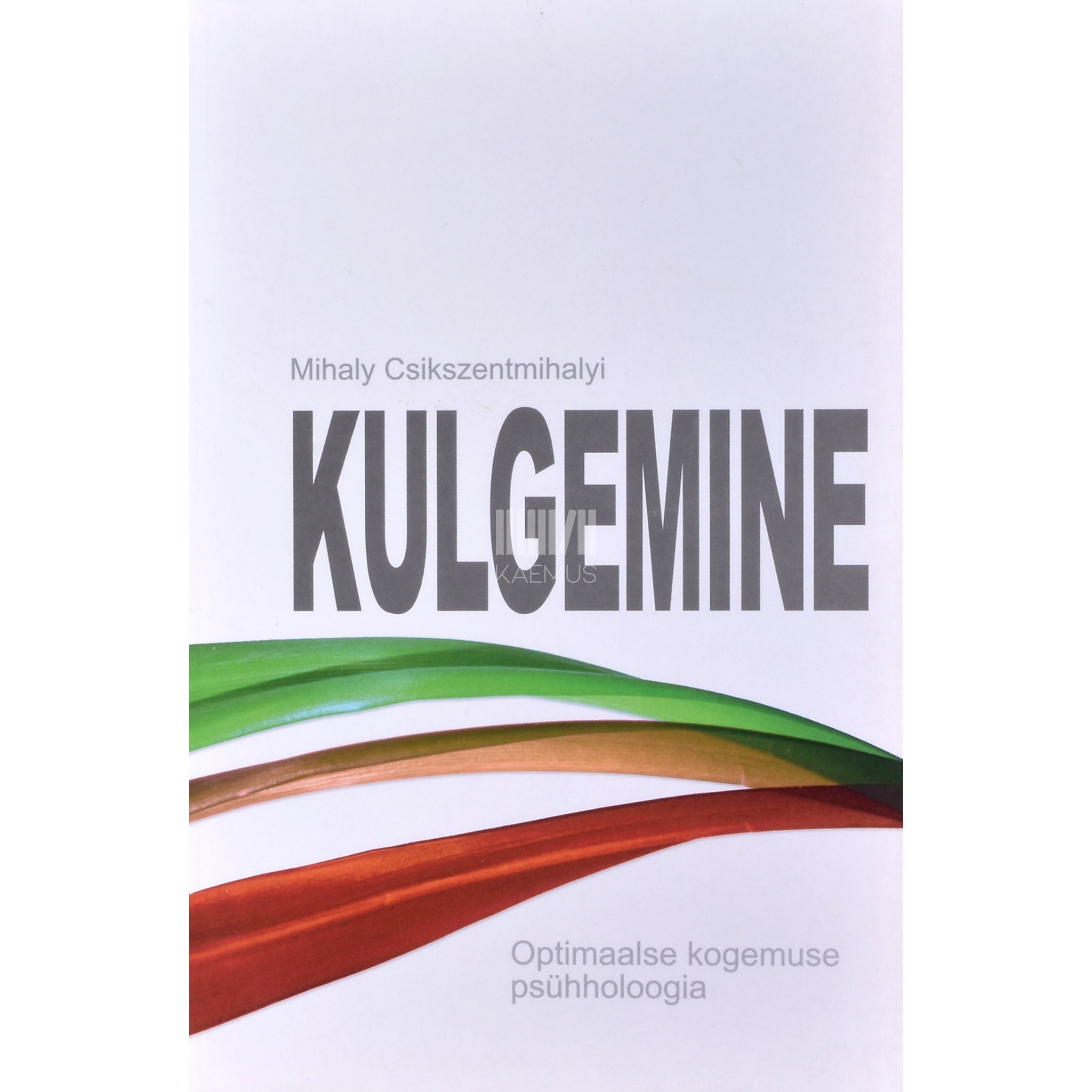 Mihaly Csikszentmihalyi Kulgemine