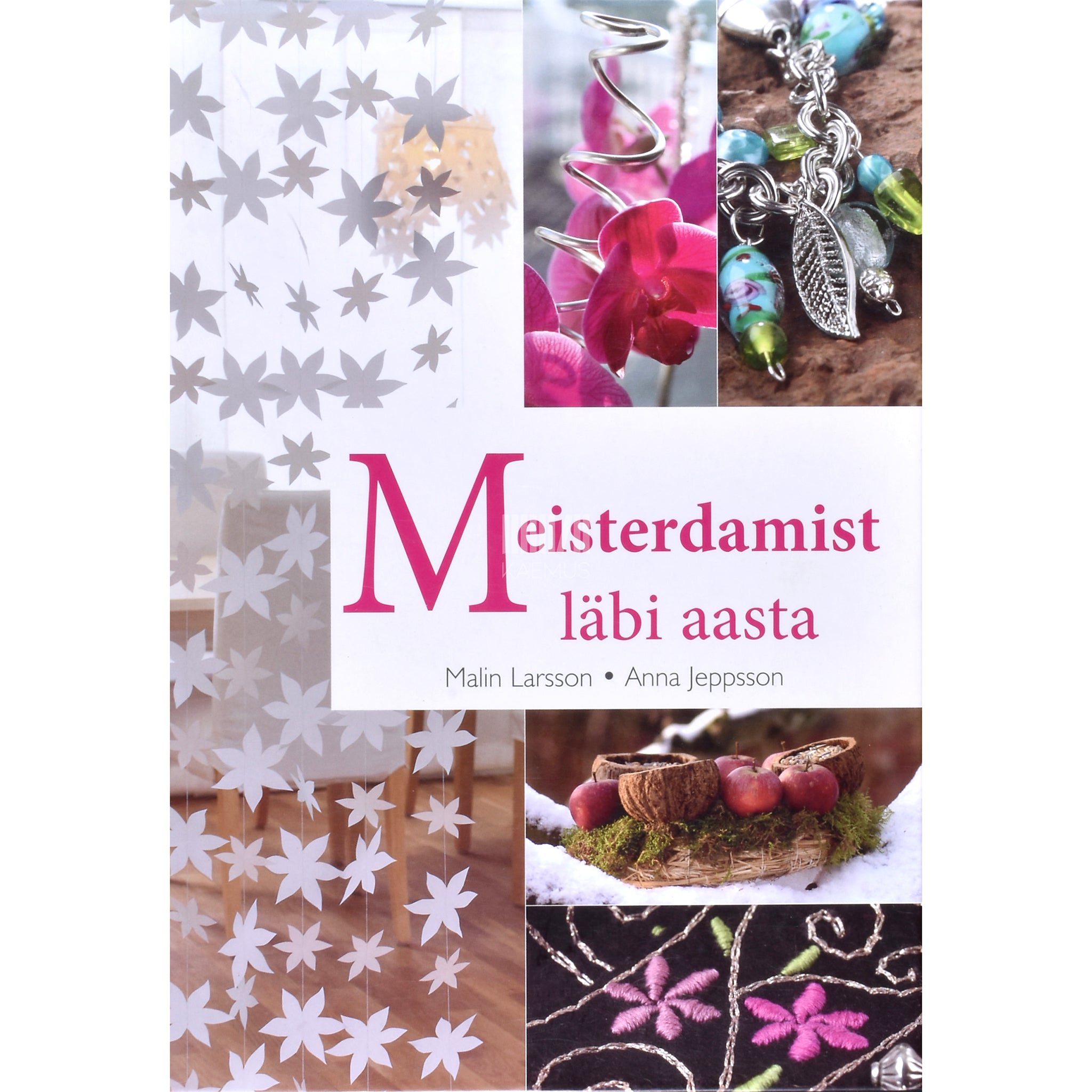 Malin Larsson Meisterdamist läbi aasta