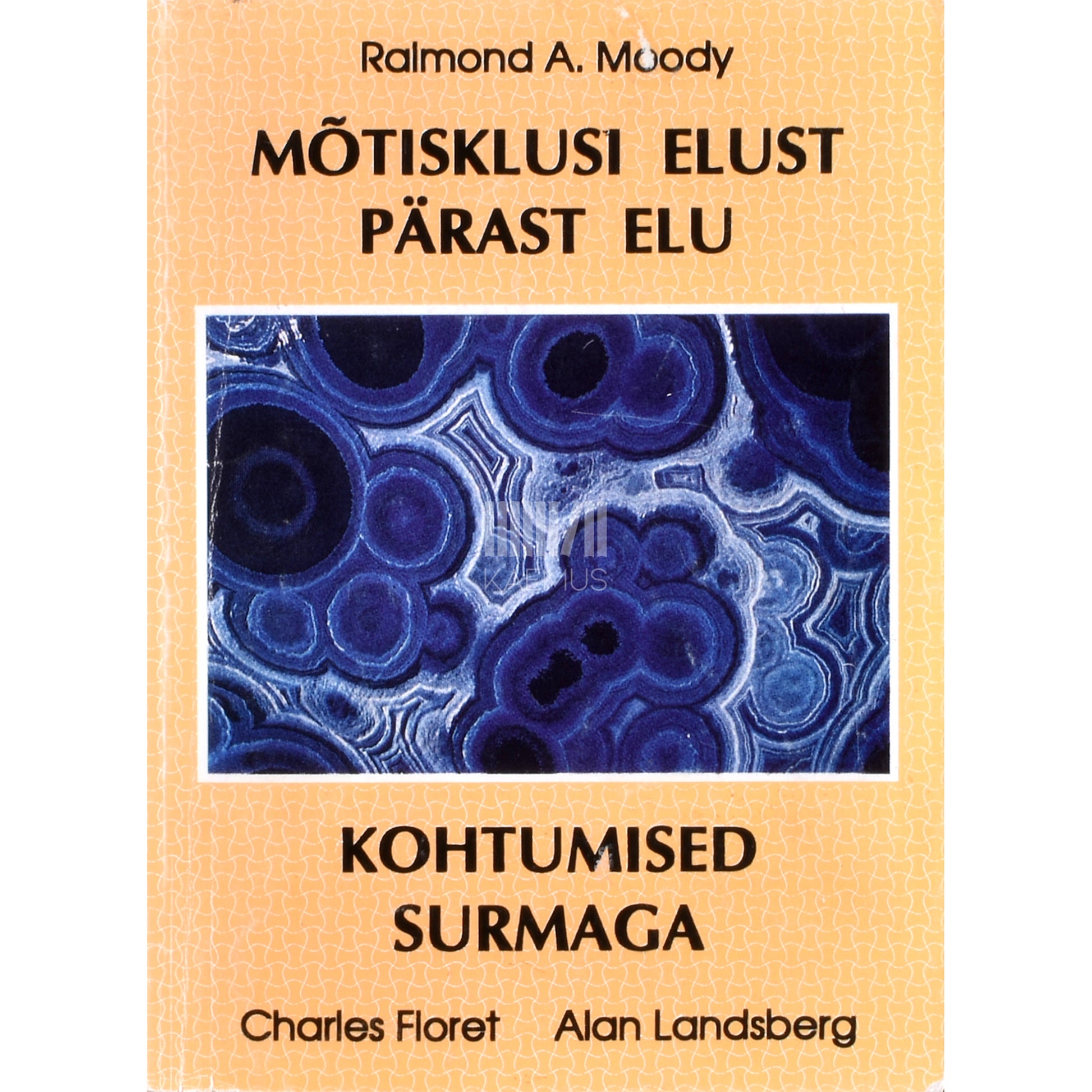 Mõtisklusi elust pärast elu