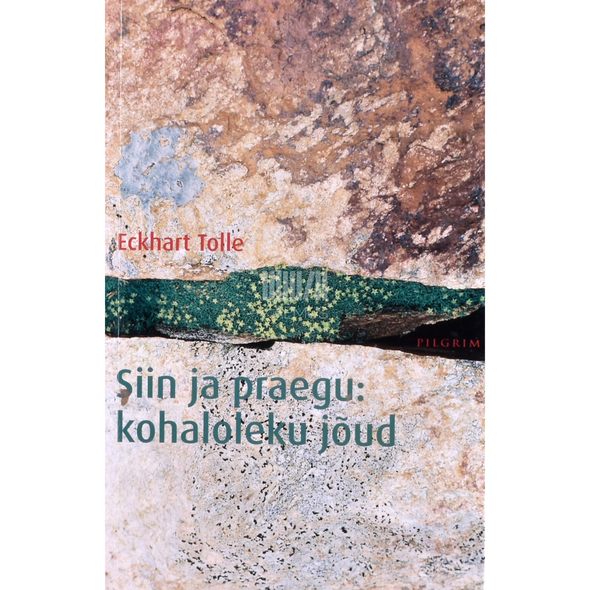 Eckhart Tolle Siin ja praegu. Kohaloleku jõud