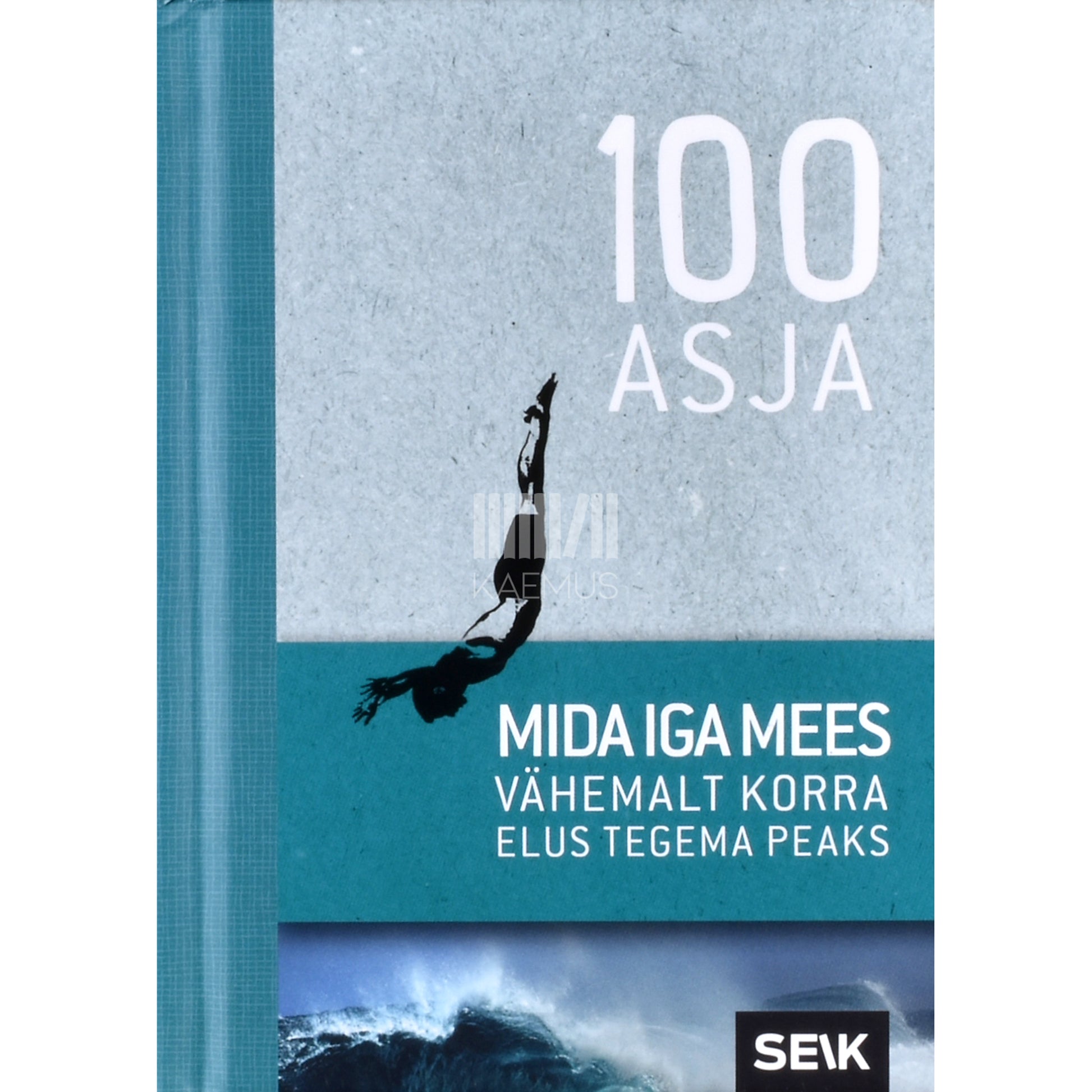 Michael Fenske. 100 asja, mida iga mees vähemalt korra elus tegema peaks