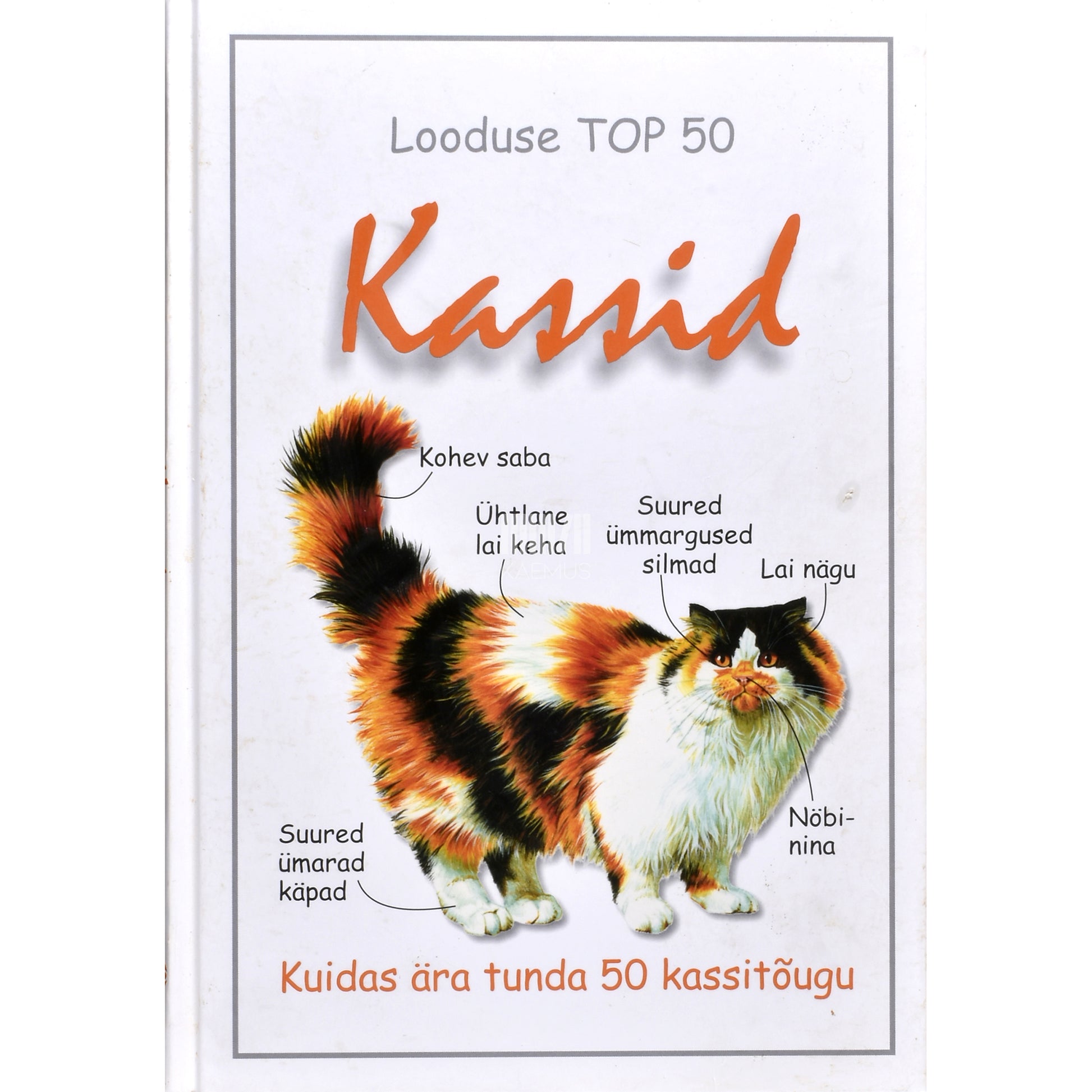 Camilla De la Bédoyère. Kassid