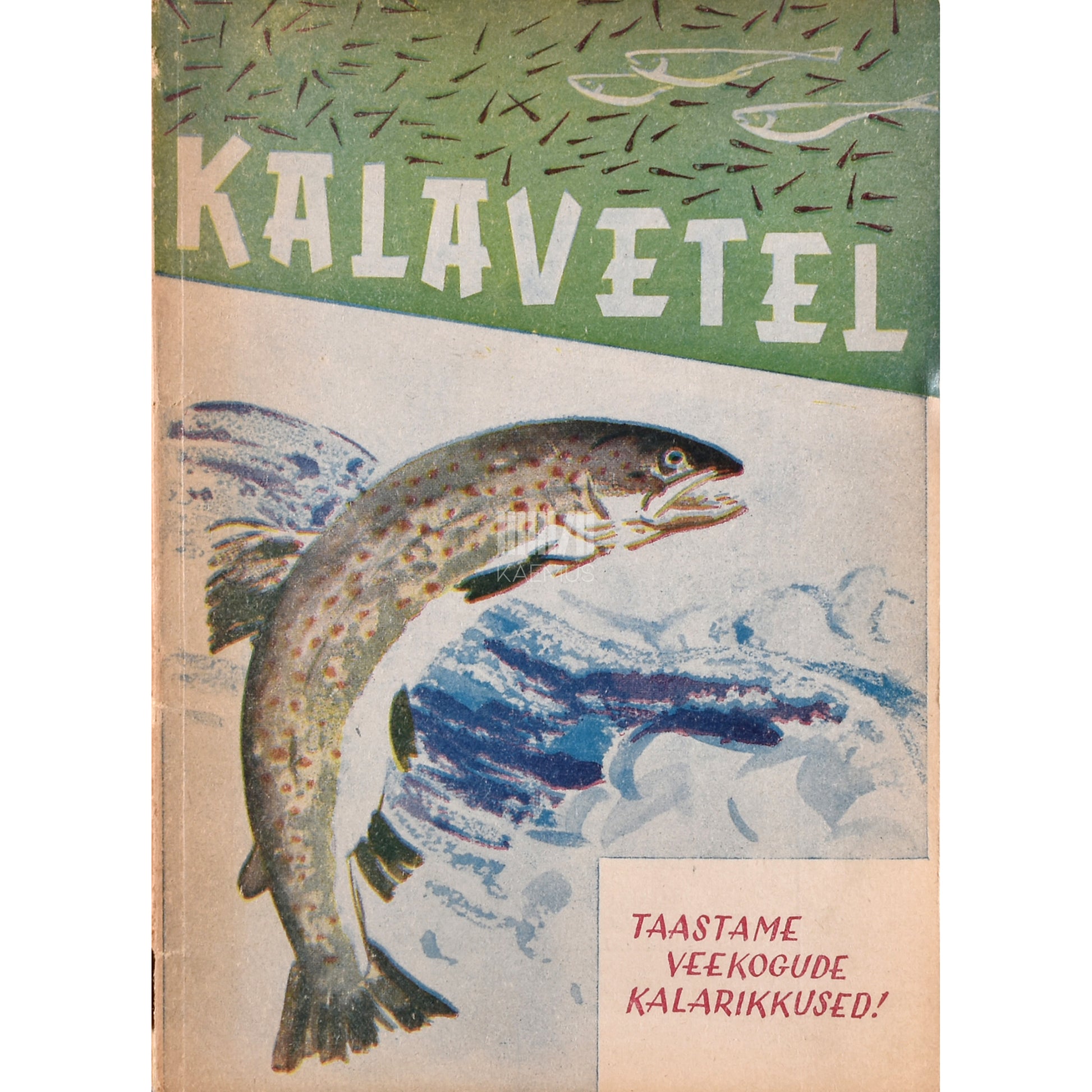 Õngemees kalavetel 2. osa