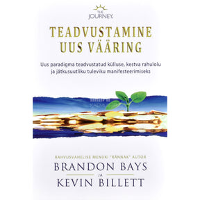 Brandon Bays Teadvustamine