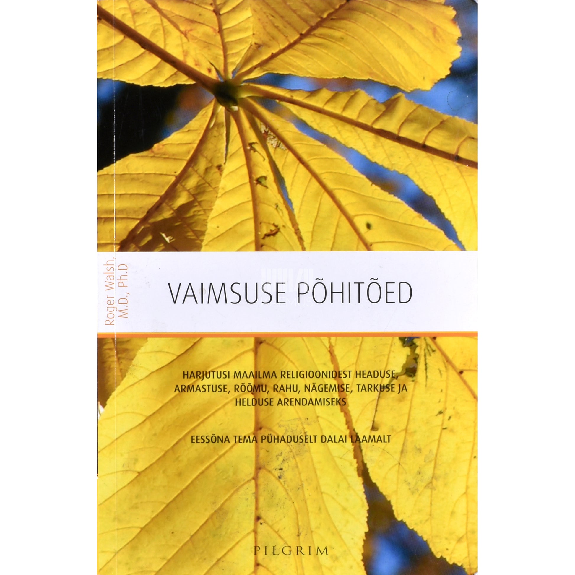 Roger Walsh. Vaimsuse põhitõed