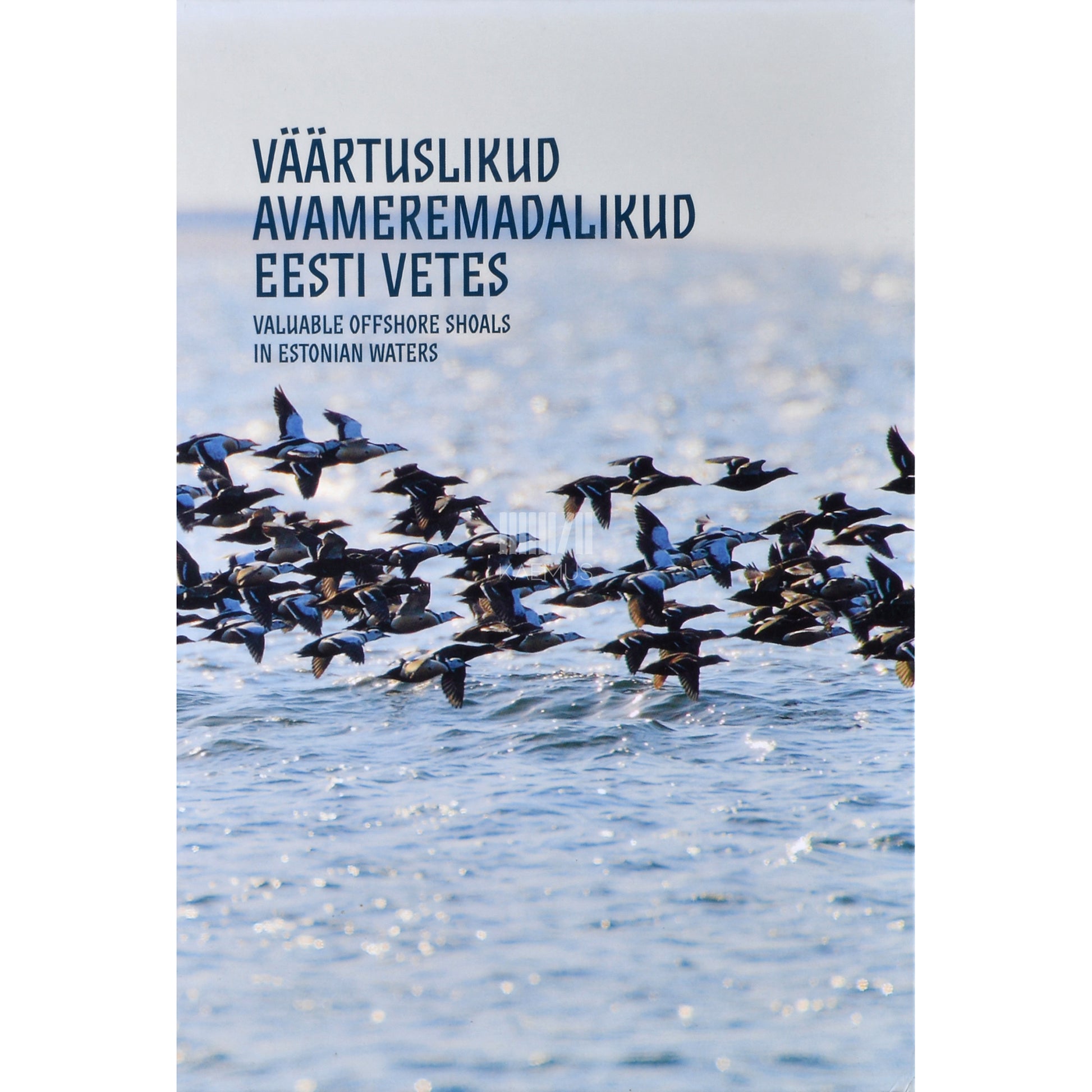 Väärtuslikud avameremadalikud Eesti vetes