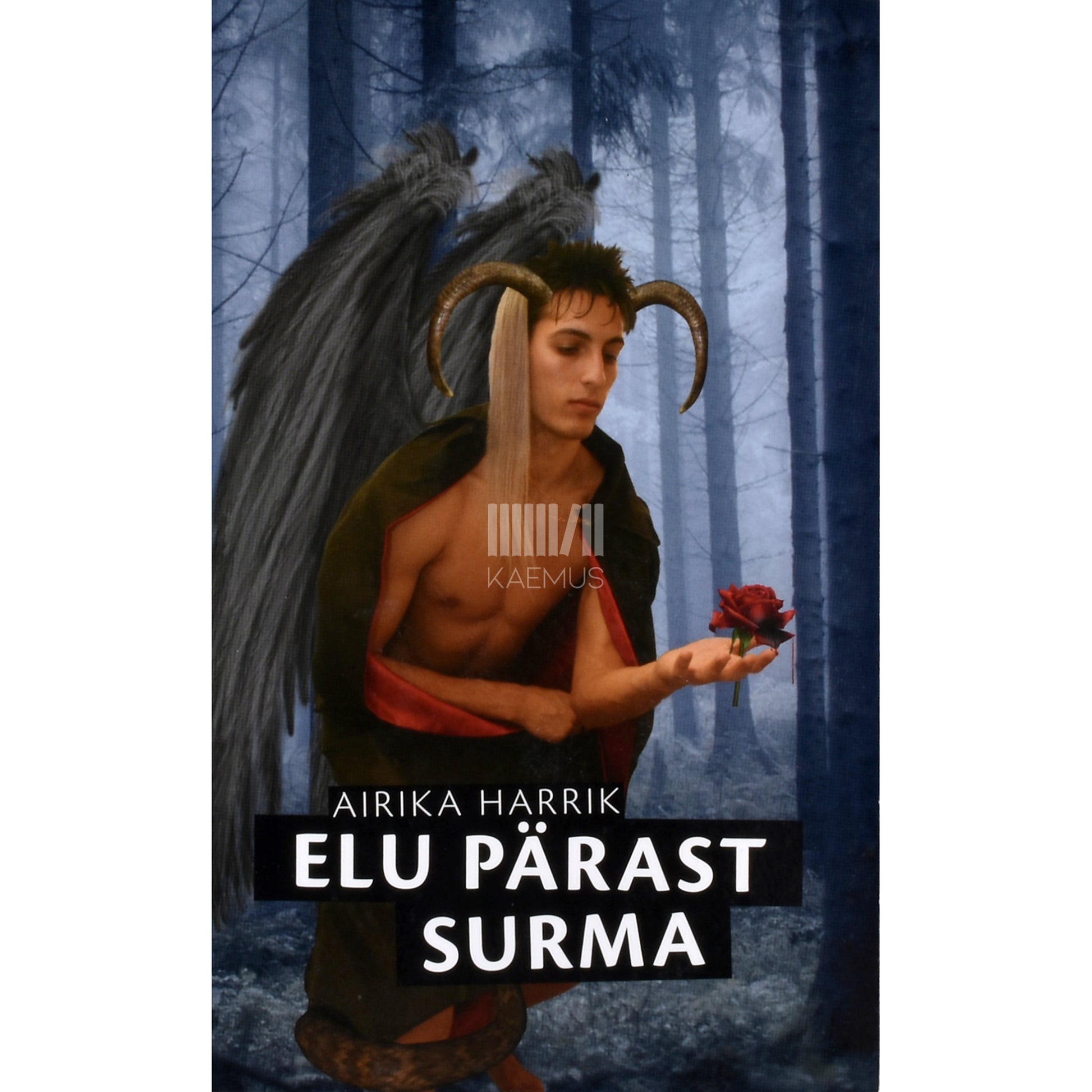 Airika Harrik. Elu pärast surma 3. osa