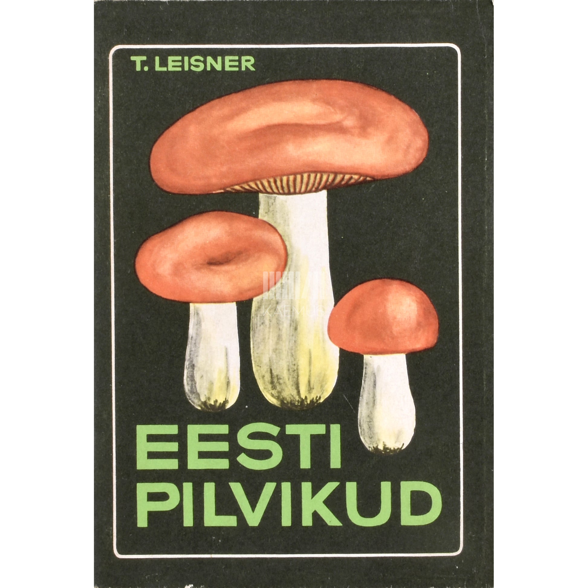 Tõnis Leisner. Eesti pilvikud