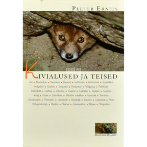Peeter Ernits Kivialused ja teised
