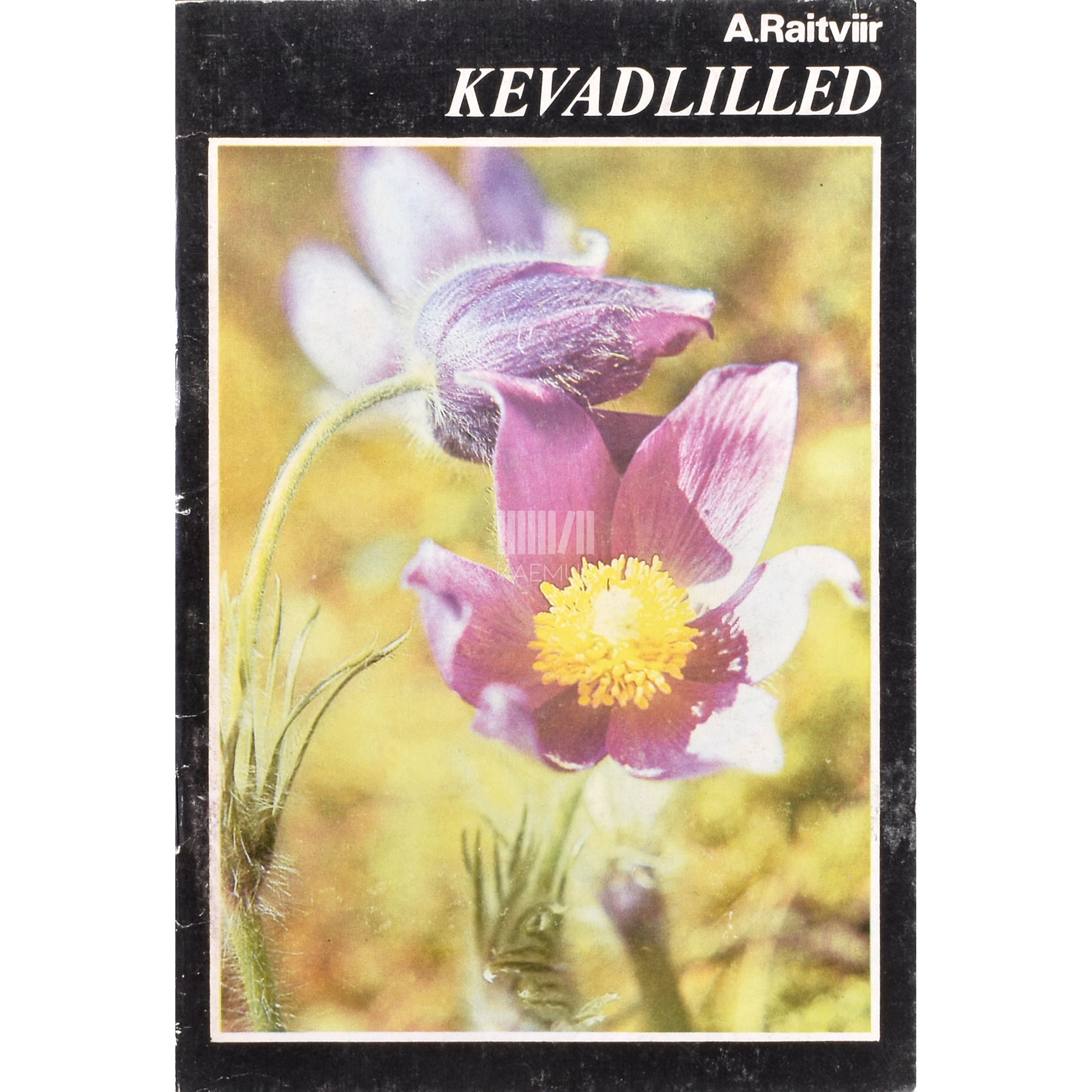 Ain Raitviir. Kevadlilled