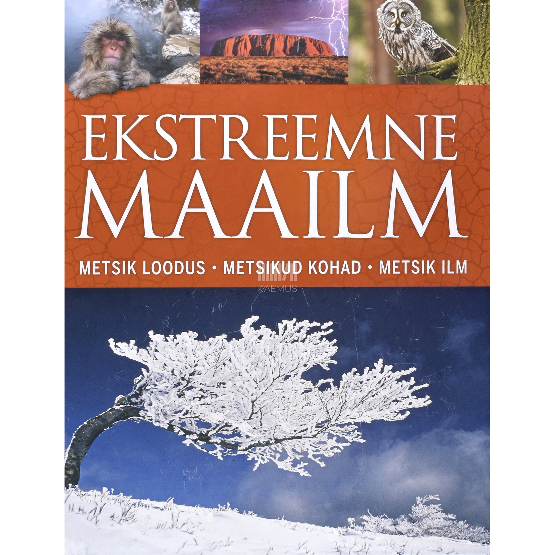 Ekstreemne maailm