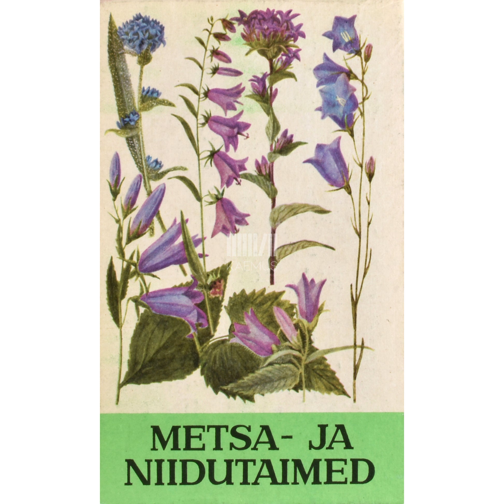 Metsa- ja niidutaimed