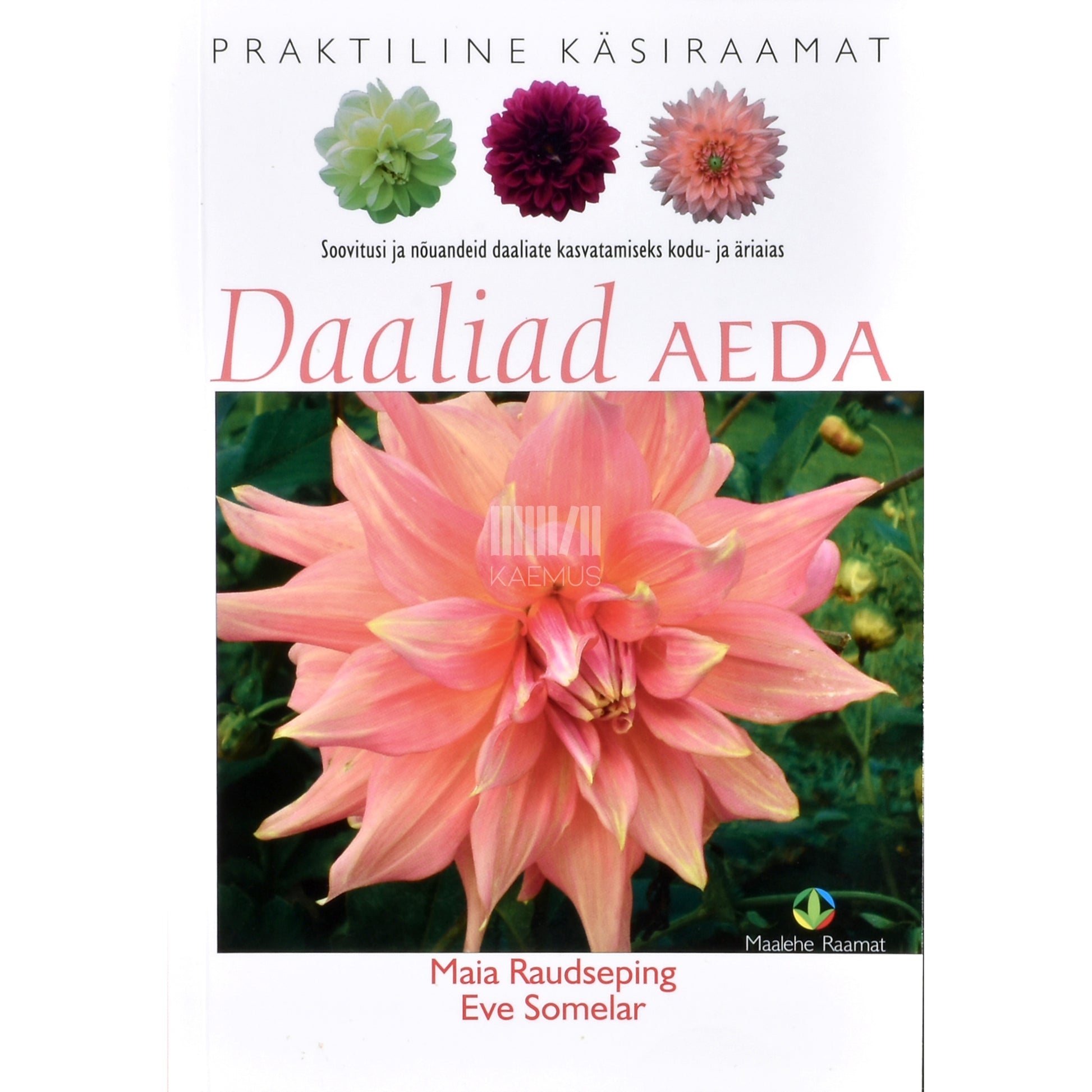 Maia Raudseping, Eve Somelar. Daaliad aeda