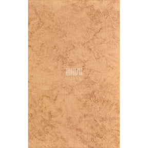 Oscar Wilde Dorian Gray portree