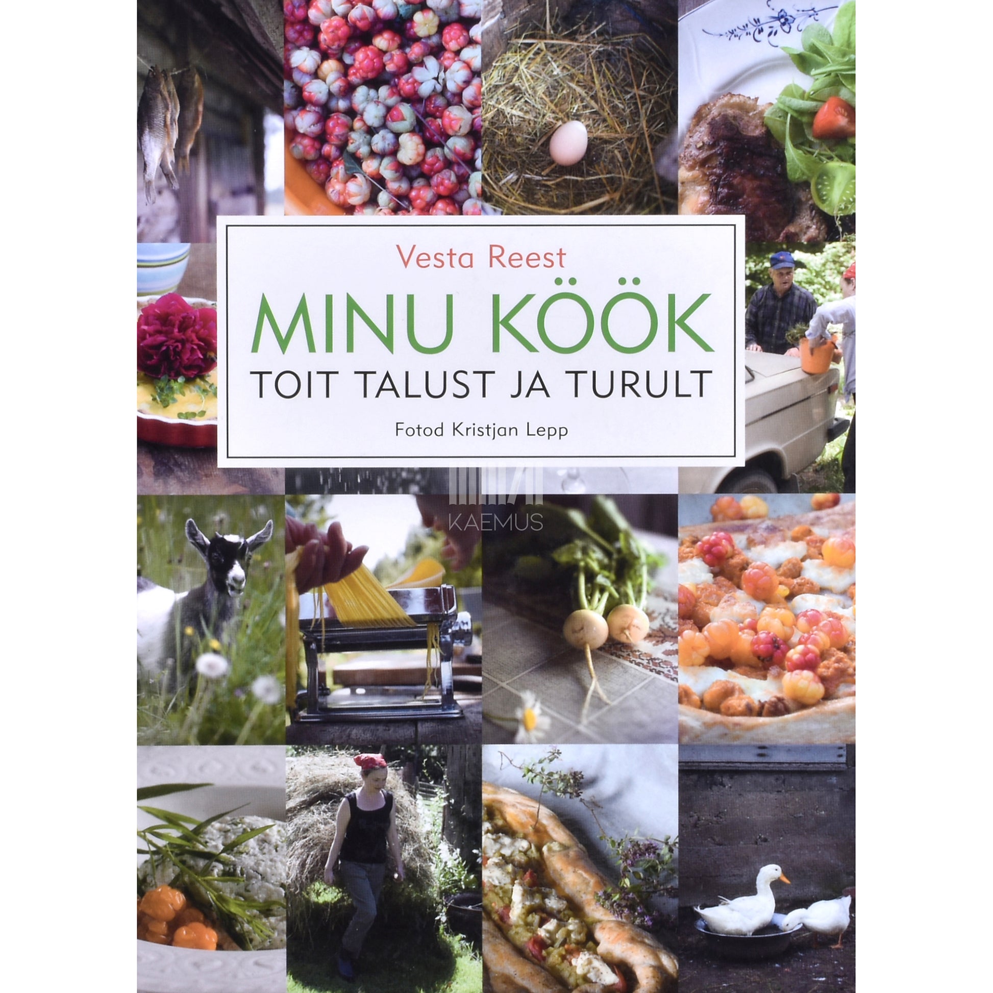 Vesta Reest. Minu köök. Toit talust ja turult