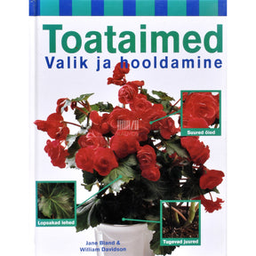 Jane Bland, William Davidson Toataimed. Valik ja hooldamine