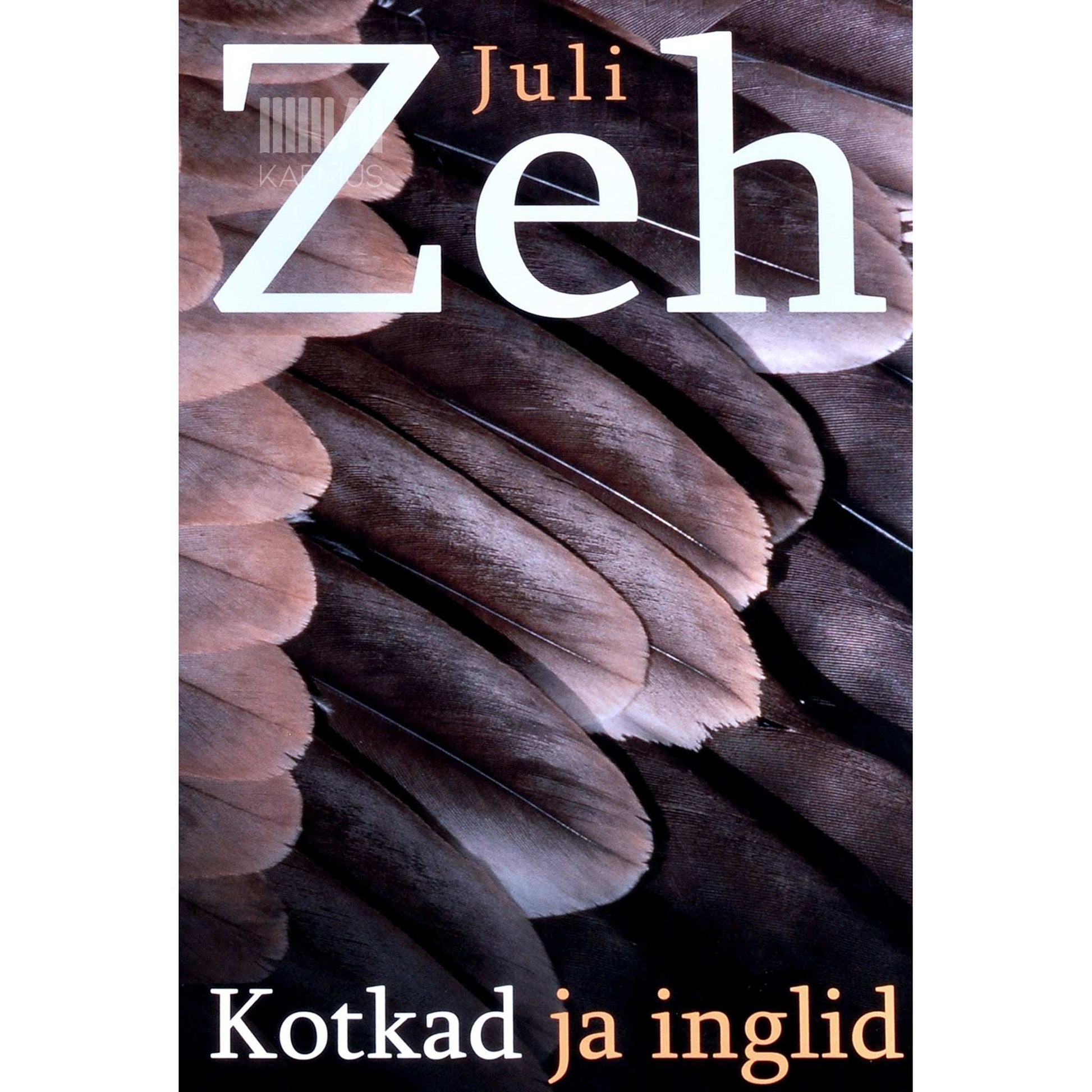Juli Zeh - Kotkad ja inglid