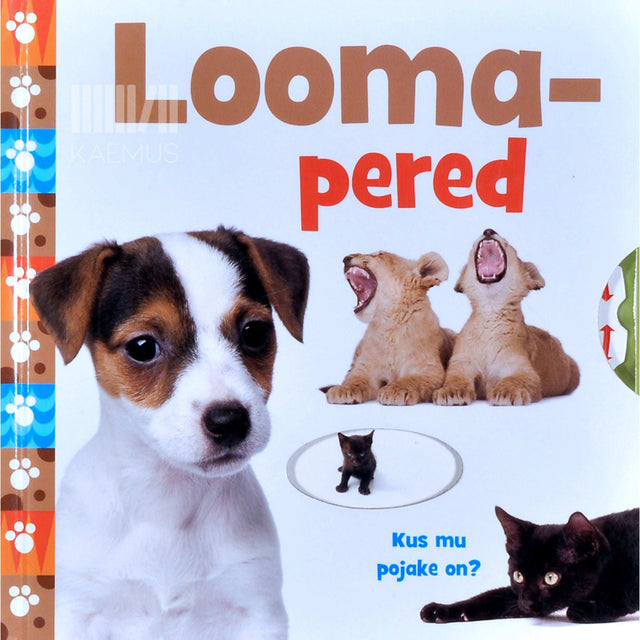 Brenda Apsley - Loomapered