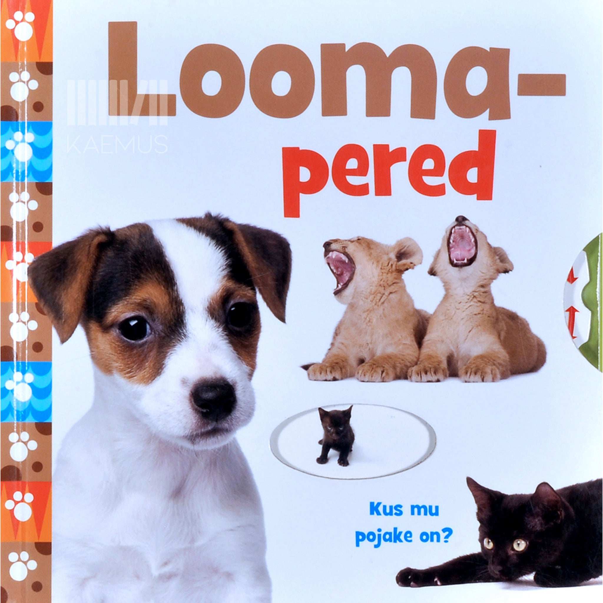 Brenda Apsley Loomapered