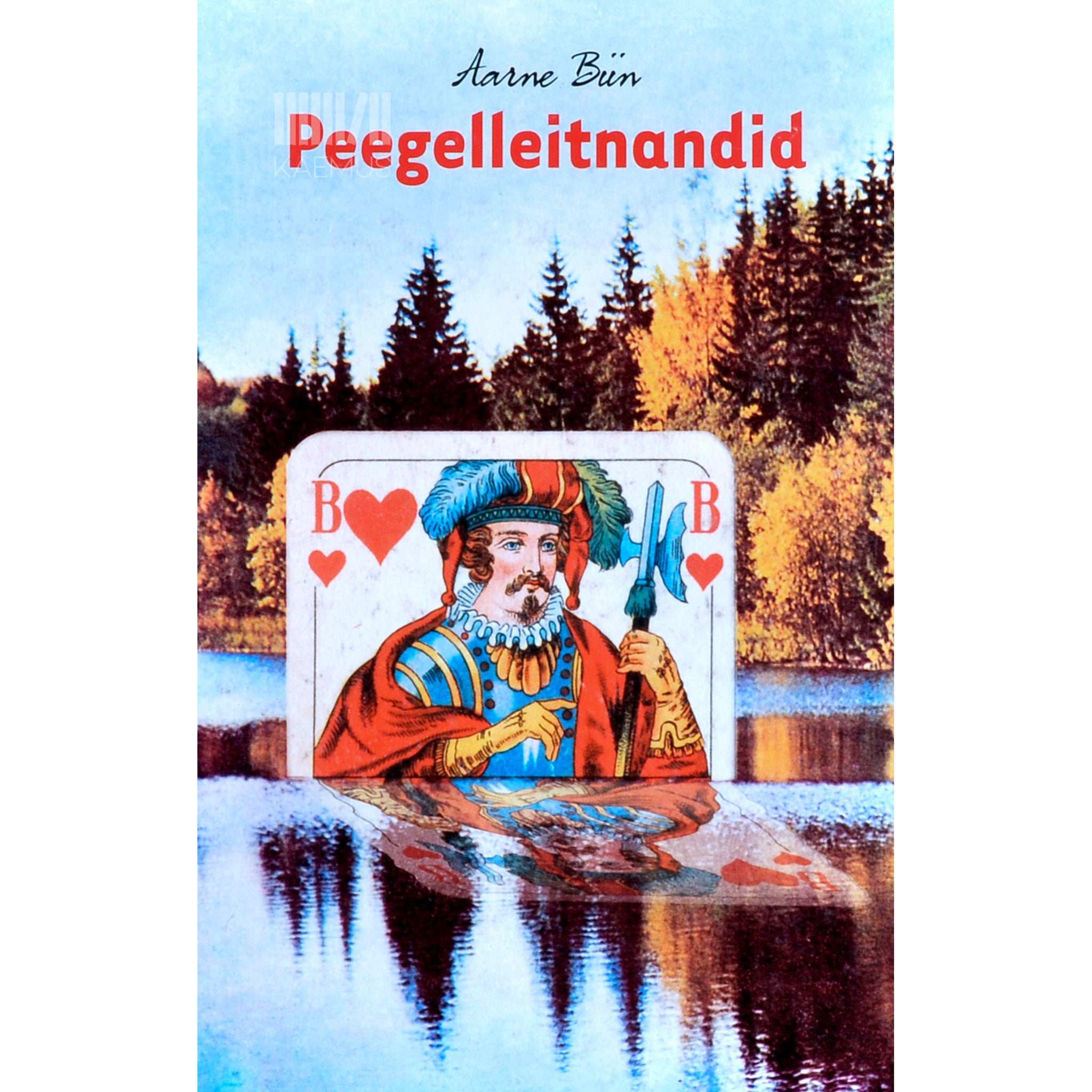 Aarne Biin Peegelleitnandid
