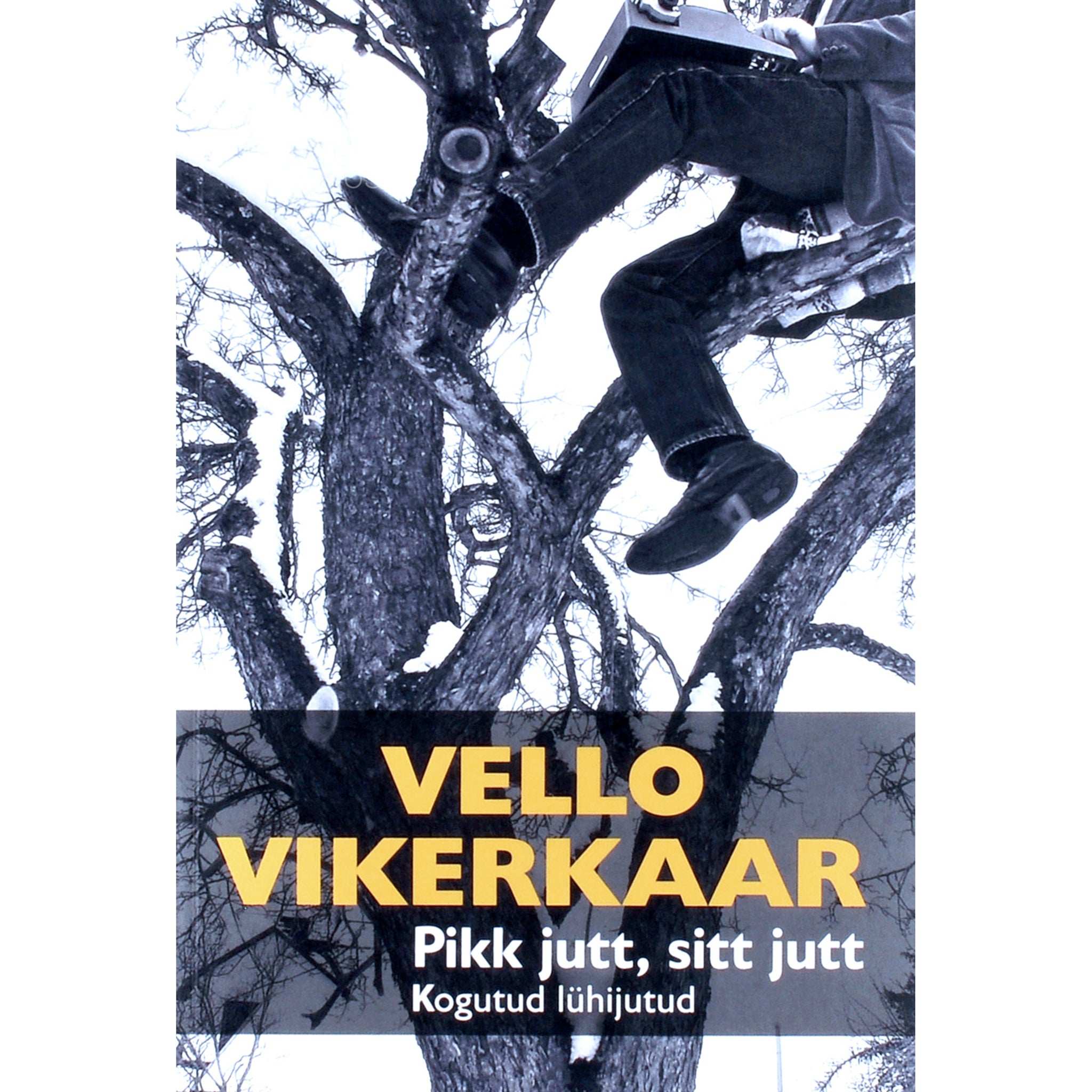 Vello Vikerkaar Pikk jutt, sitt jutt. Kogutud lühijutud