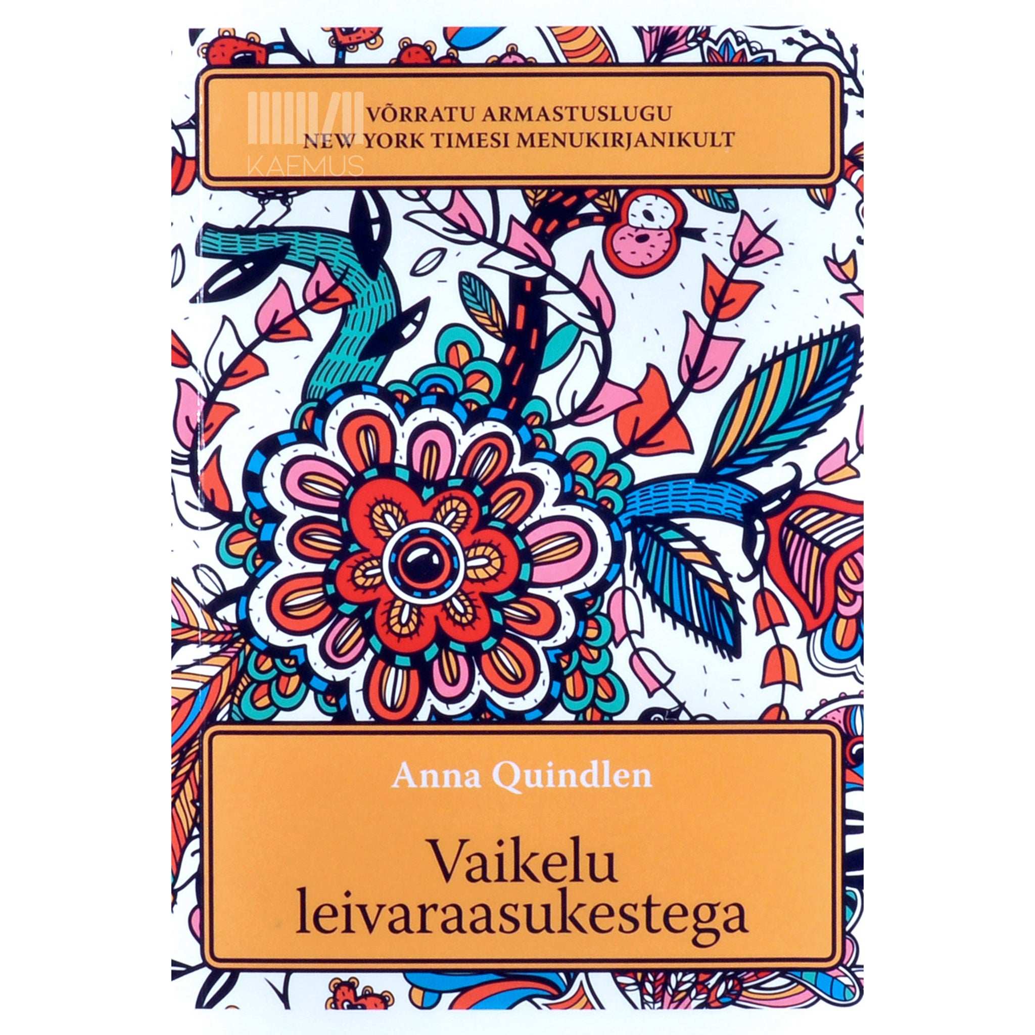 Anna Quindlen Vaikelu leivaraasukestega