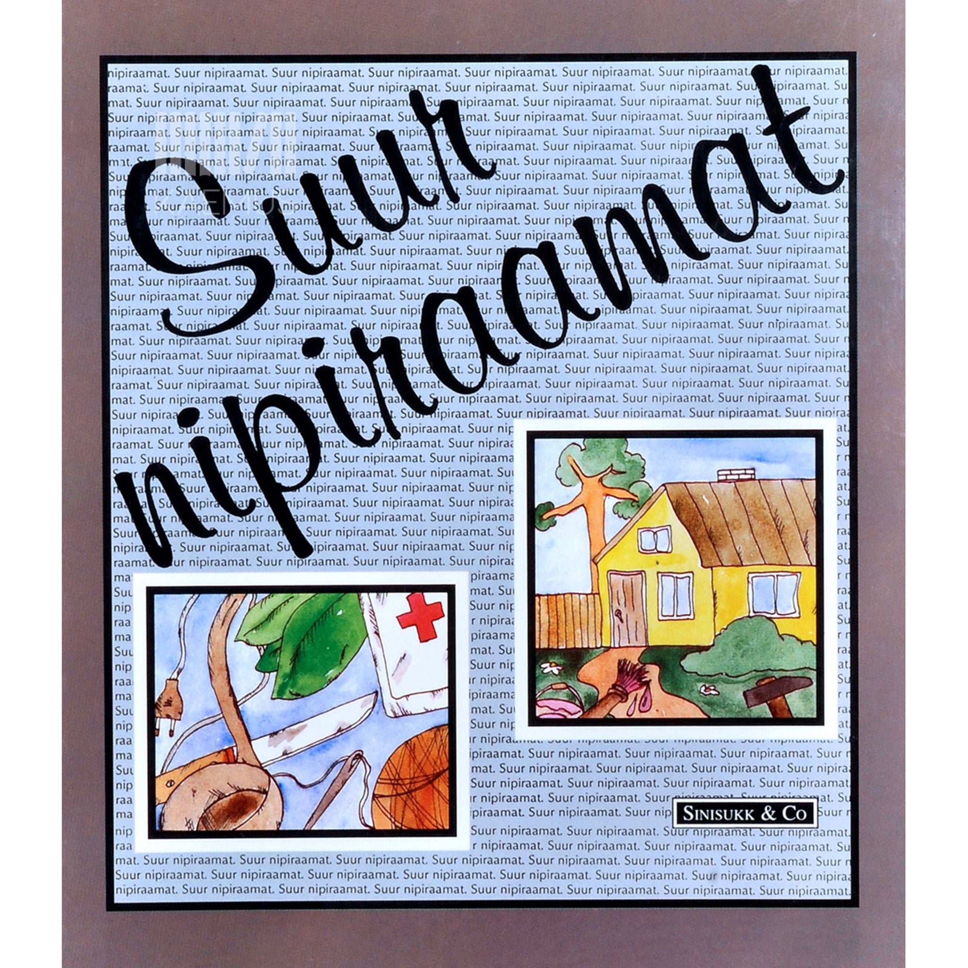 Aila Pakarinen, Marja Viita - Suur nipiraamat. Kodundusalaseid nõuandeid