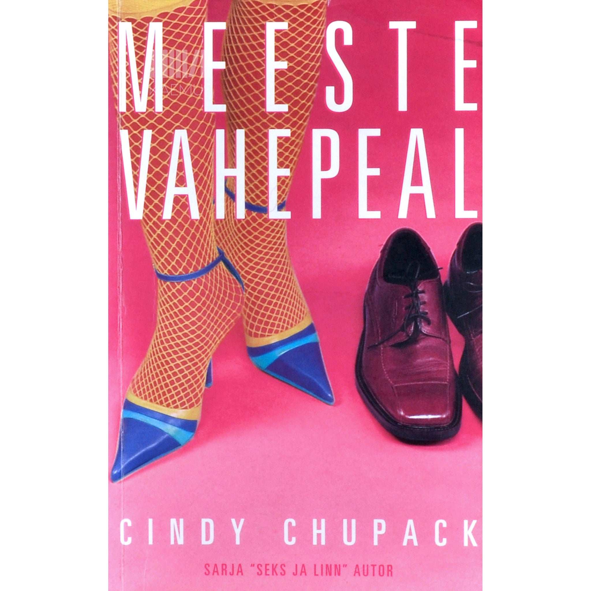 Cindy Chupack Meeste vahepeal