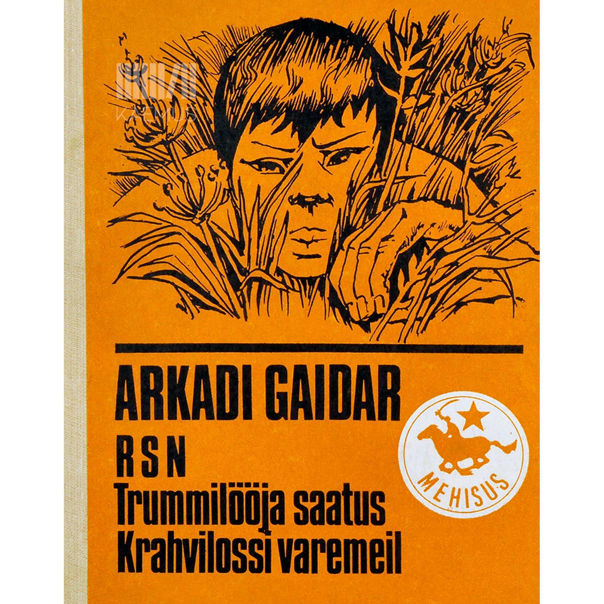 Arkadi Gaidar RSN. Trummilööja saatus. Krahvilossi varemeil