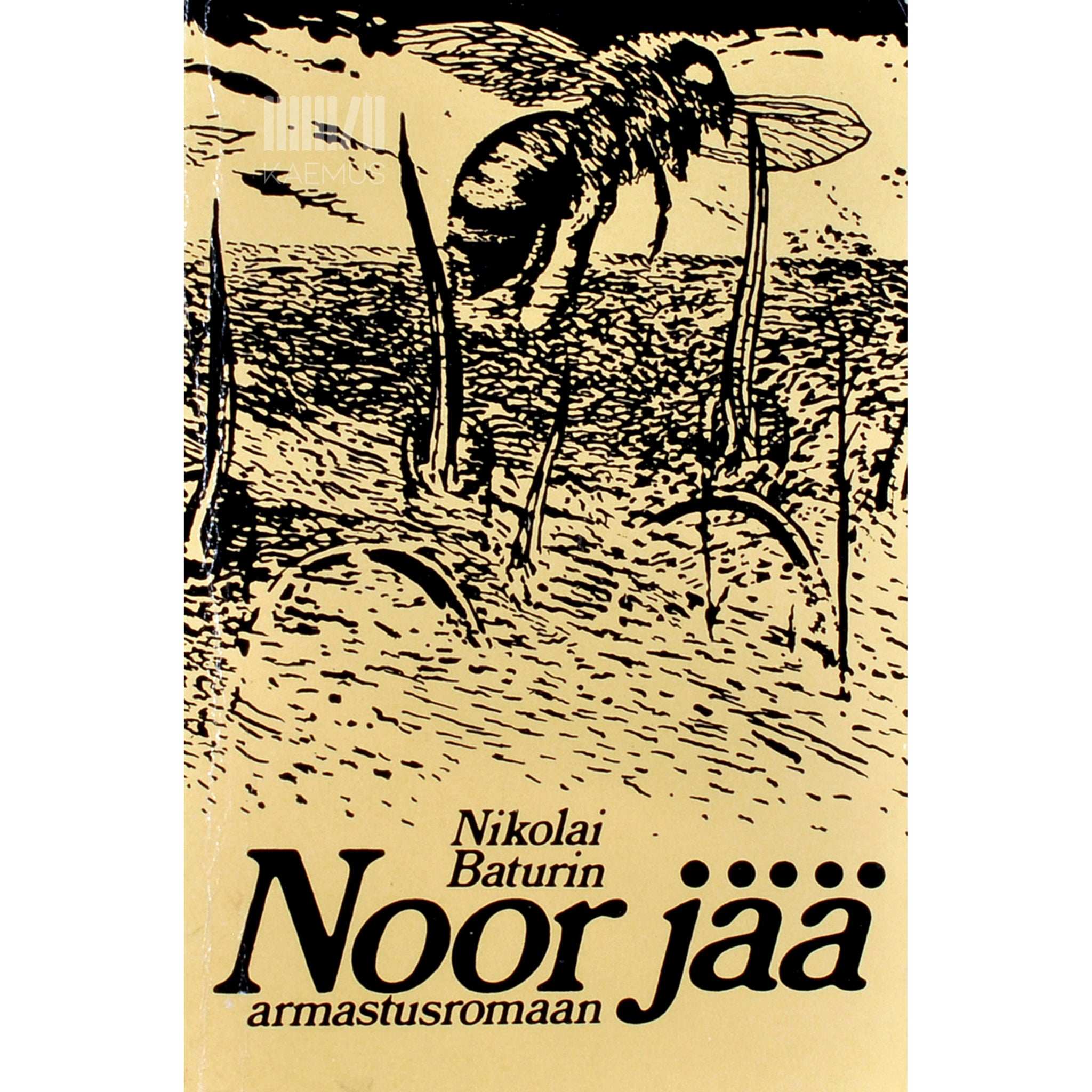 Nikolai Baturin Noor jää