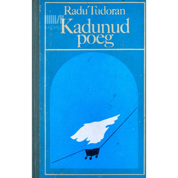 Radu Tudoran - Kadunud poeg