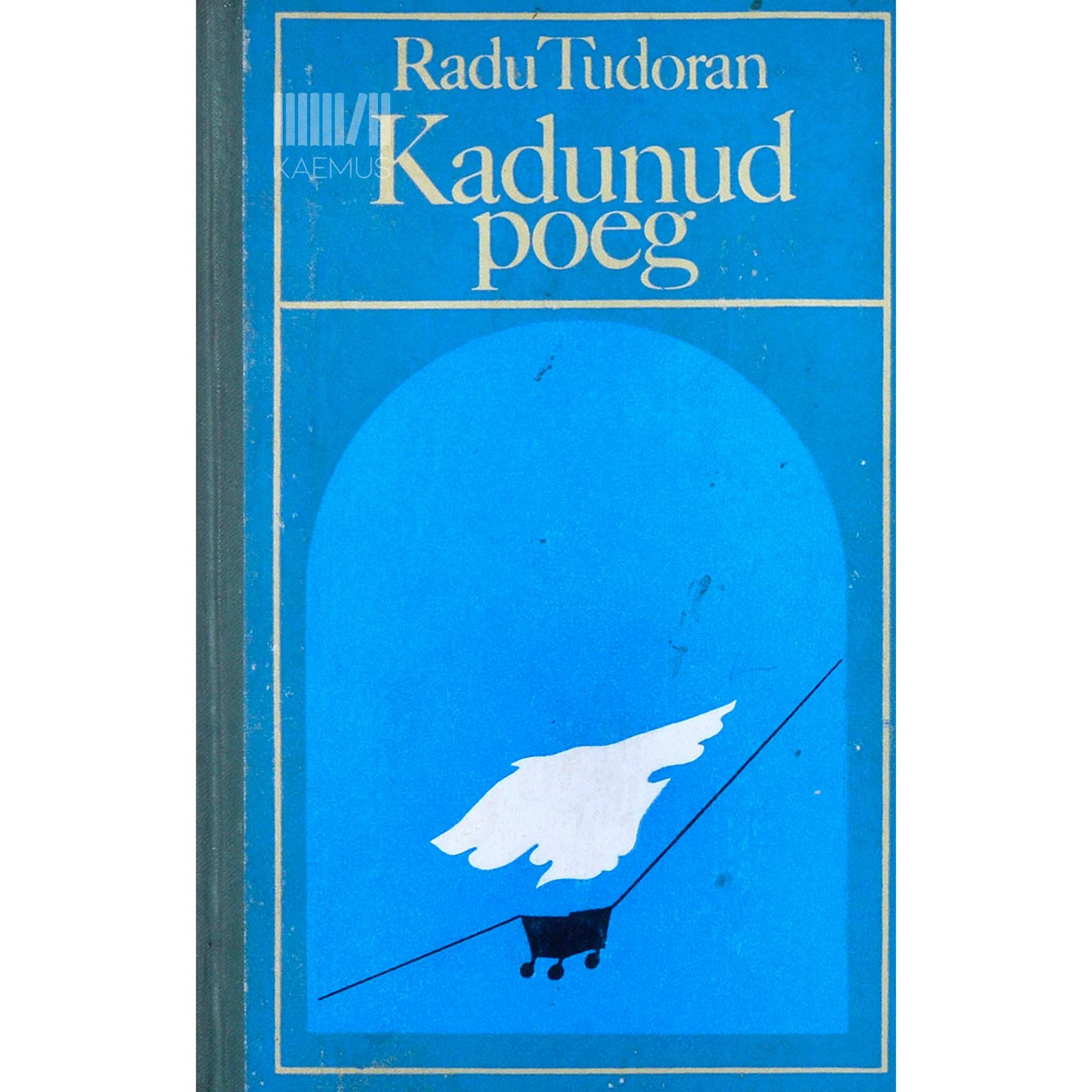 Radu Tudoran Kadunud poeg