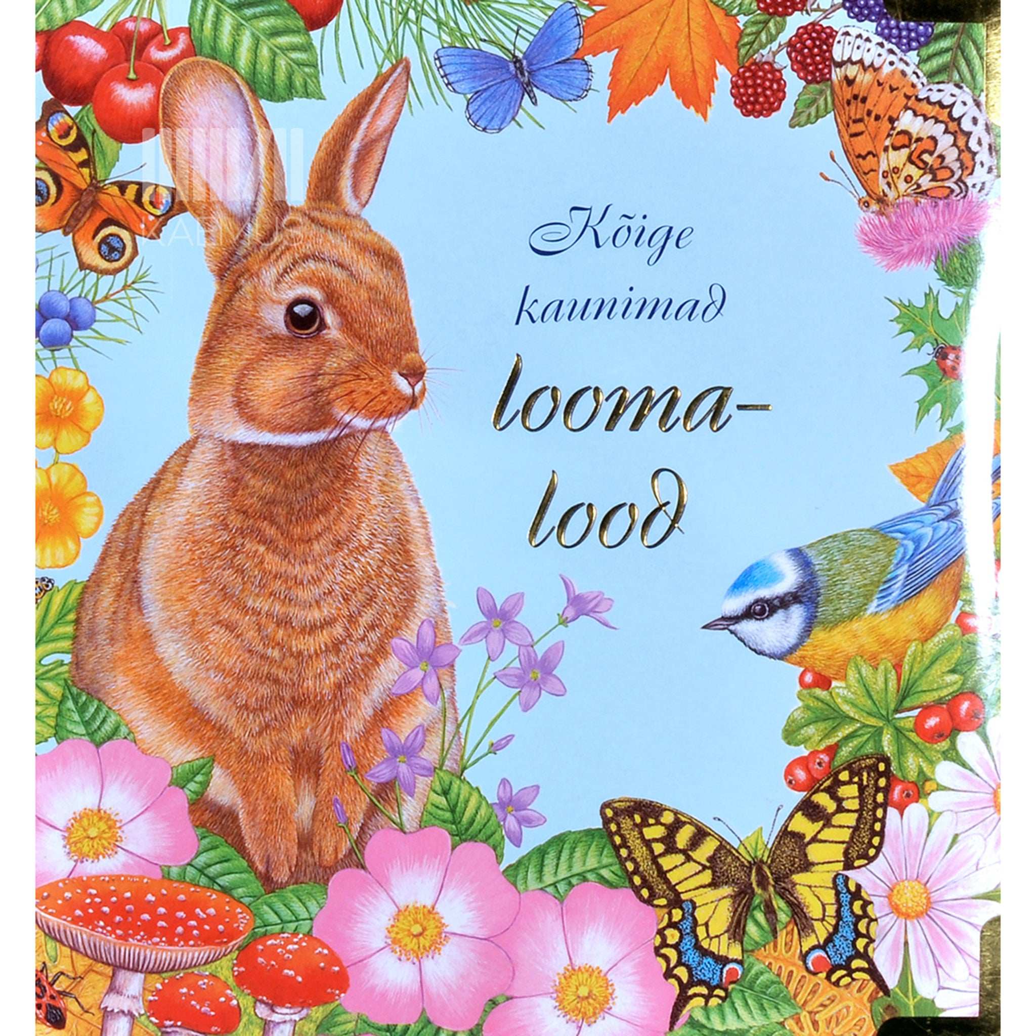 … Kõige kaunimad loomalood