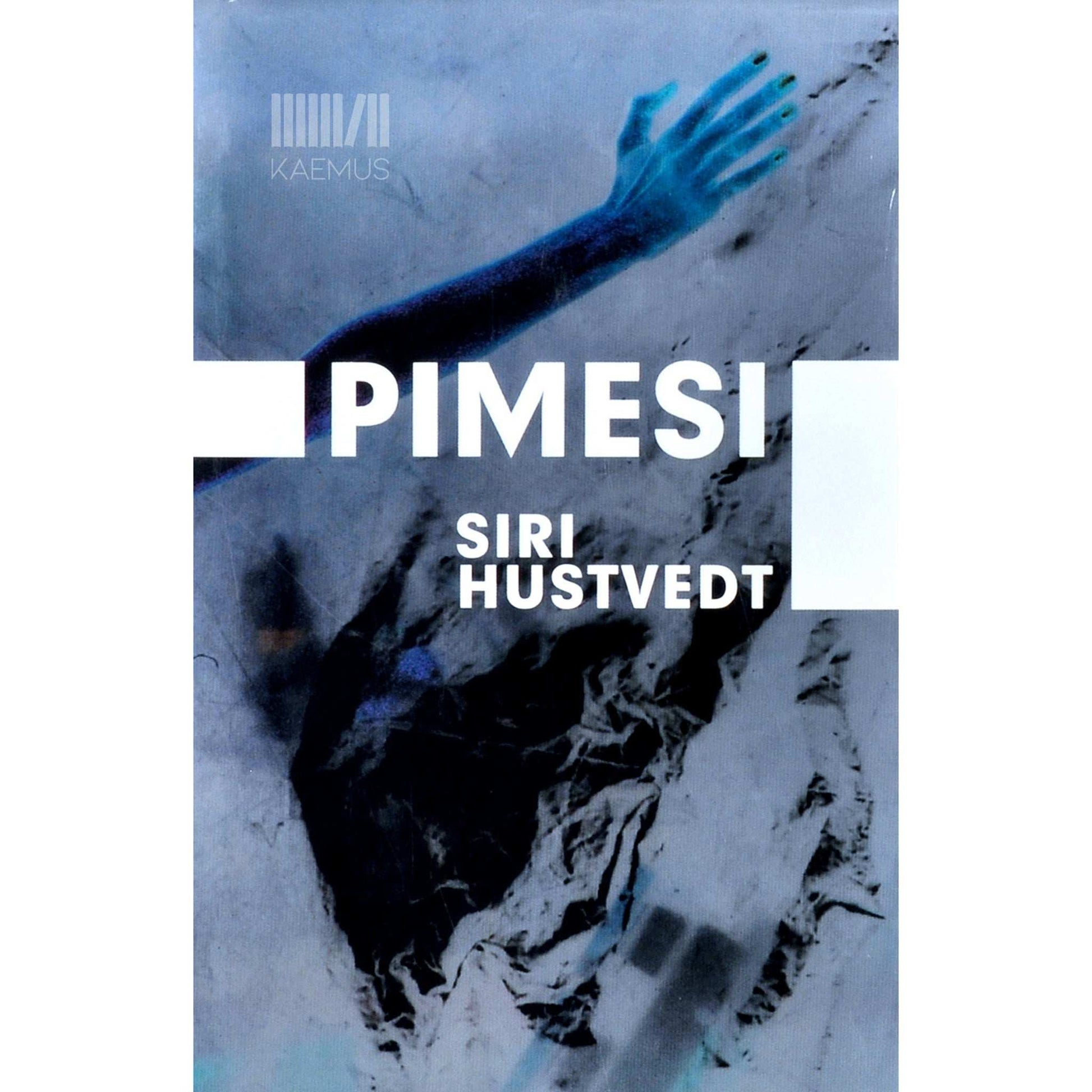 Siri Hustvedt - Pimesi